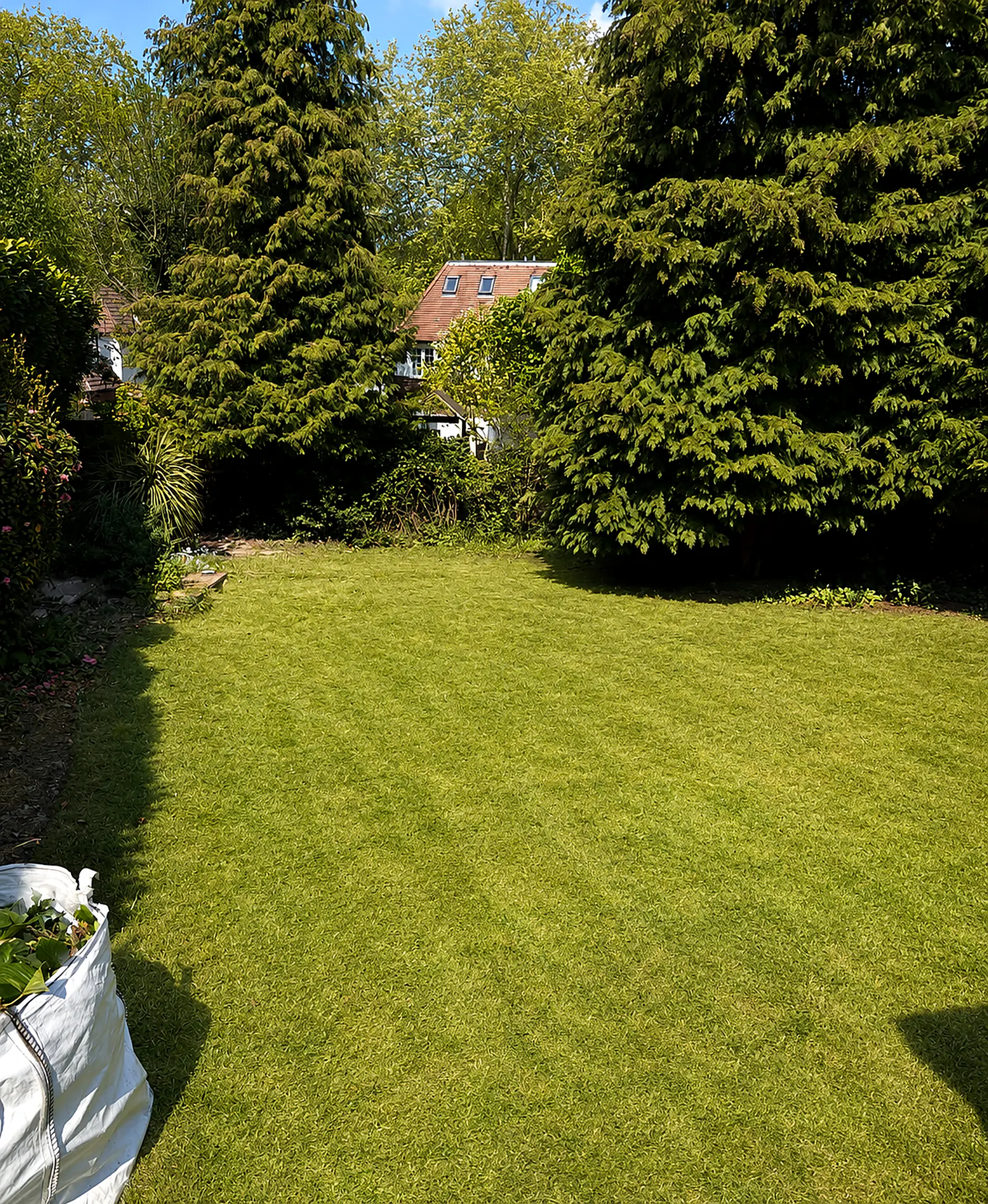 A maintained lawn flanked by mature evergreens and a tidy garden waste bag at the side
