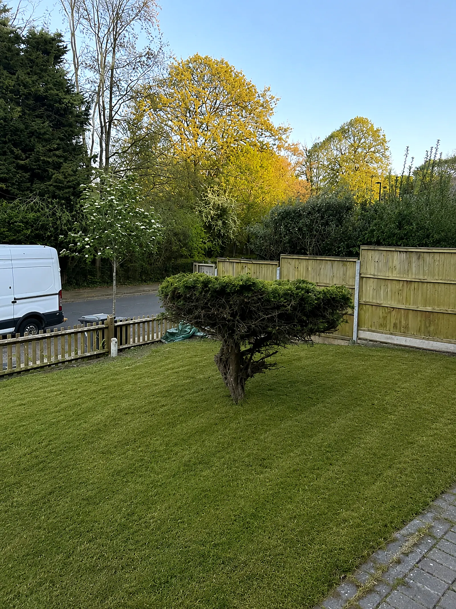 A small front lawn at a brick estate house, freshly cut and edged, suburban morning light
