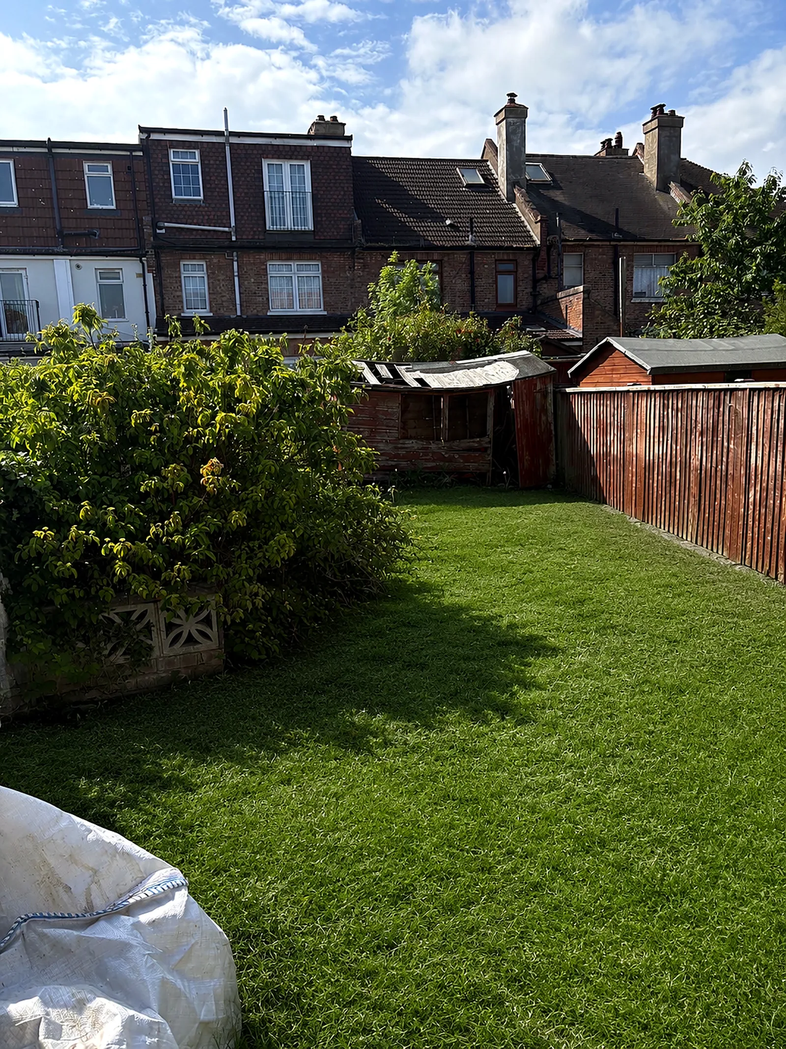 The same garden, after, overgrown brambles cleared, lawn cut and tidy, fence line restored